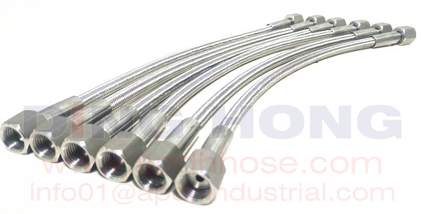 SS304 Braided ptfe hose with NPT fittings
