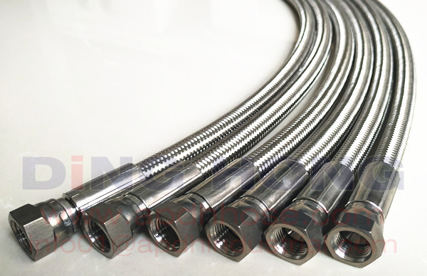 SS flexible PTFE hose